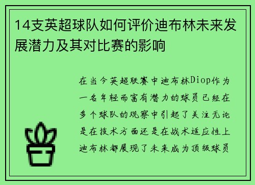 14支英超球队如何评价迪布林未来发展潜力及其对比赛的影响